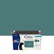 DULUX VALENTINE - Peinture Crème de Couleur Biosourcé - Eucalyptus - Mat - 2,25 L - vignette