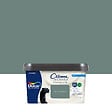 DULUX VALENTINE - Peinture Crème de Couleur Biosourcé - Vert Céladon - Mat - 2,25 L - vignette
