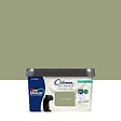 DULUX VALENTINE - Peinture biosourcée - Gentil Cactus - Satin - 2,25 L - vignette