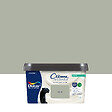 DULUX VALENTINE - Peinture Crème de Couleur Biosourcé - Saule Biosourcé - Satin - 2,25 L - vignette