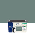 DULUX VALENTINE - Peinture biosourcée satinée - Vert Céladon - 2,25 L - vignette