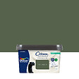 DULUX VALENTINE - Peinture Crème de Couleur Biosourcé - Vert Tropical - Satin - 2,25 L - vignette