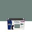 DULUX VALENTINE - Peinture Crème de Couleur Biosourcé - Vert Céladon - Velours - 2,25 L - vignette