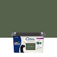 DULUX VALENTINE - Peinture murale biosourcée - Vert Tropical - 2,25 L - vignette