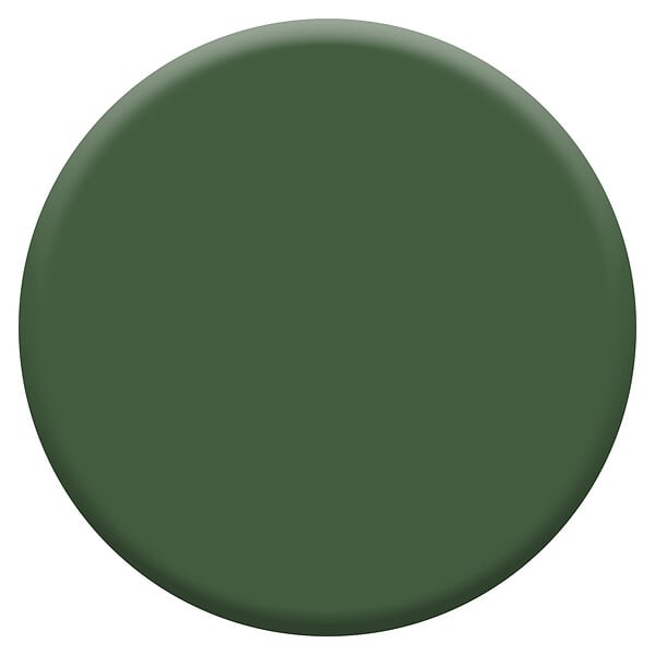 DULUX VALENTINE - Peinture Crème de Couleur Biosourcé - Vert Tropical - Mat - 2,25 L - large