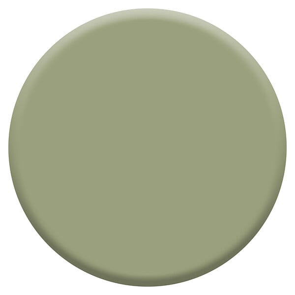 DULUX VALENTINE - Peinture biosourcée - Gentil Cactus - Satin - 2,25 L - large