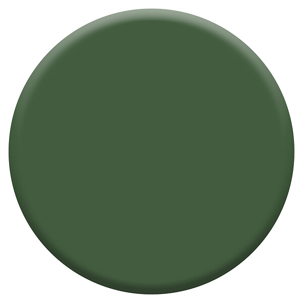 DULUX VALENTINE - Peinture murale biosourcée - Vert Tropical - 2,25 L - large