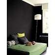 DULUX VALENTINE - Peinture Crème de Couleur Biosourcé - Noir - Mat - 2,25 L - vignette