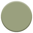 DULUX VALENTINE - Peinture Crème de Couleur Biosourcé - Gentil Cactus - Satin - 0,5 L - vignette