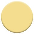 DULUX VALENTINE - Peinture Crème de Couleur Biosourcé - Pamplemousse - Satin - 0,5 L - vignette