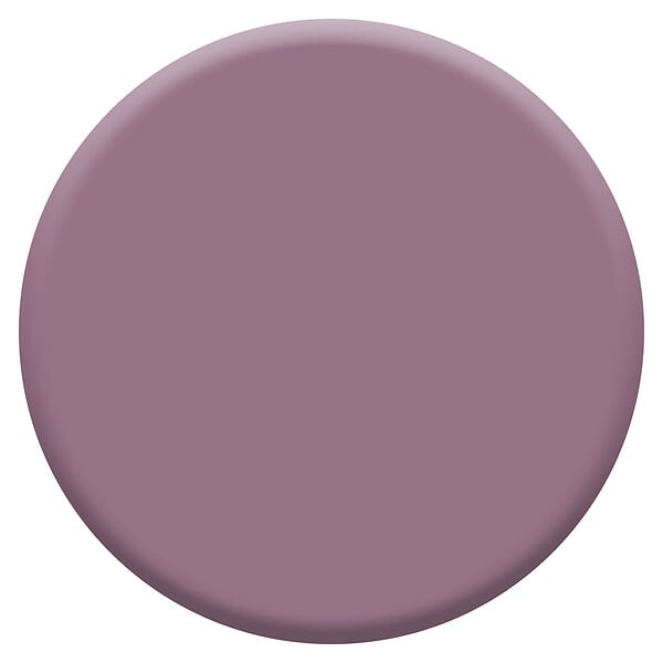 DULUX VALENTINE - Peinture biosourcée - Figue - Velours - 0,5L - large