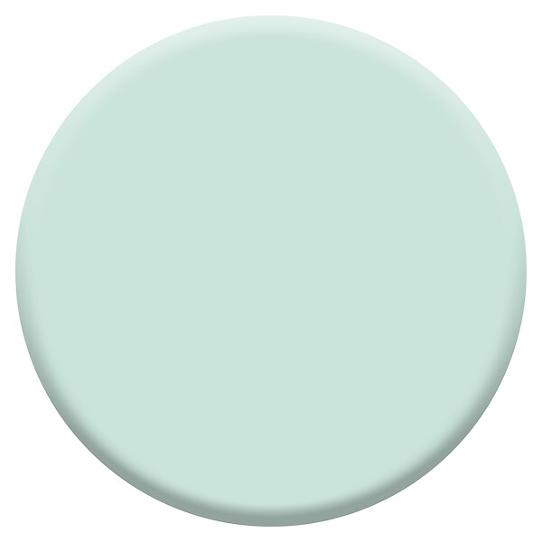 DULUX VALENTINE - Peinture Crème de Couleur Biosourcé - Menthe Frappée - Velours - 0,5 L - large
