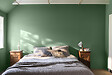 DULUX VALENTINE - Peinture Crème de Couleur Biosourcé - Vert Ginkgo - Velours - 0,5 L - vignette