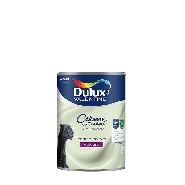 DULUX VALENTINE - Peinture intérieure biosourcée - Tendrement Vert - Velours - 1L - large