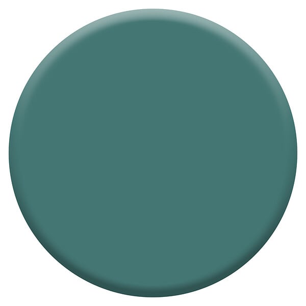 DULUX VALENTINE - Peinture biosourcée crémeuse - Eucalyptus - Mat - 1L - large