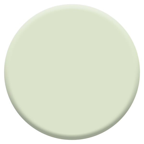 DULUX VALENTINE - Peinture intérieure biosourcée - Tendrement Vert - Velours - 1L - large