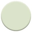 DULUX VALENTINE - Peinture intérieure biosourcée - Tendrement Vert - Velours - 1L - vignette