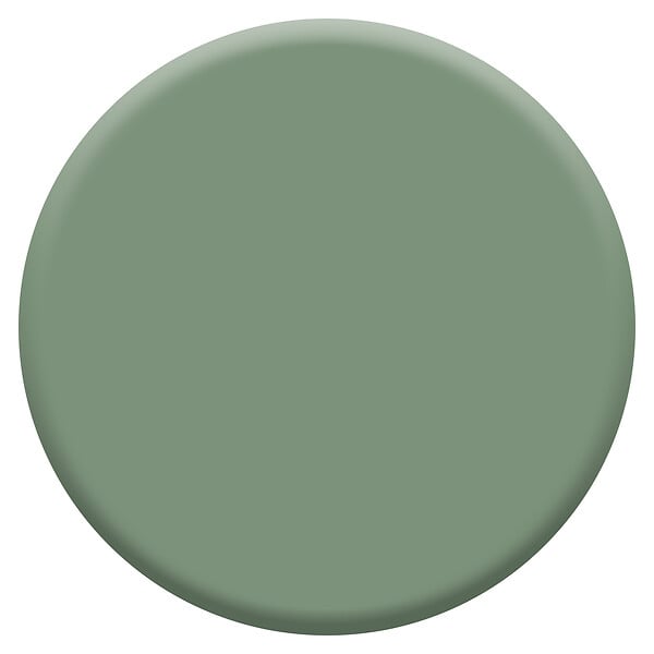 DULUX VALENTINE - Peinture biosourcée Crème de Couleur Vert Ginkgo - 1L - large
