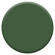 DULUX VALENTINE - Peinture multi-supports biosourcée - Vert Tropical - 1L - vignette