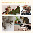 PAWHUT - Arbre à chat 2 griffoirs niche entrée tête de chat plateforme d'observation jouet suspendu coussins amovibles peluche grande douceur aspect bois clair - vignette