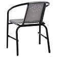 VIDAXL - vidaXL Chaises de jardin lot de 2 Plastique Rotin et acier 110 kg - vignette