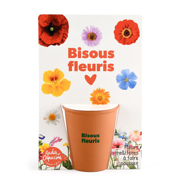 RADIS ET C - Kit jardinage fleurs mellifères - Pot terre cuite 6,5cm - large