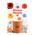 RADIS ET C - Kit jardinage fleurs mellifères - Pot terre cuite 6,5cm - vignette