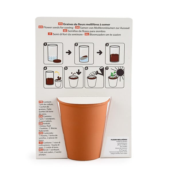 RADIS ET C - Kit jardinage fleurs mellifères - Pot terre cuite 6,5cm - large