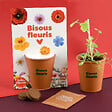 RADIS ET C - Kit jardinage fleurs mellifères - Pot terre cuite 6,5cm - vignette