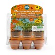 RADIS ET C - Mini serre 6 pot - mon premier jardin radis & Capucine - vignette