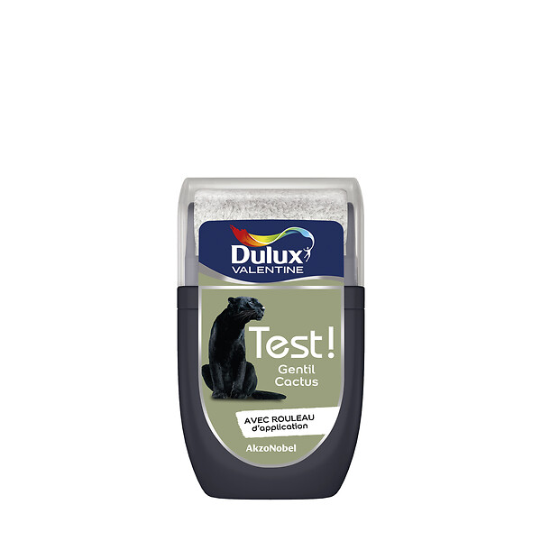 DULUX VALENTINE - Dulux Valentine Testeur peinture Crème de Couleur -Gentil Cactus -30ml - large