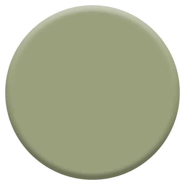 DULUX VALENTINE - Dulux Valentine Testeur peinture Crème de Couleur -Gentil Cactus -30ml - large