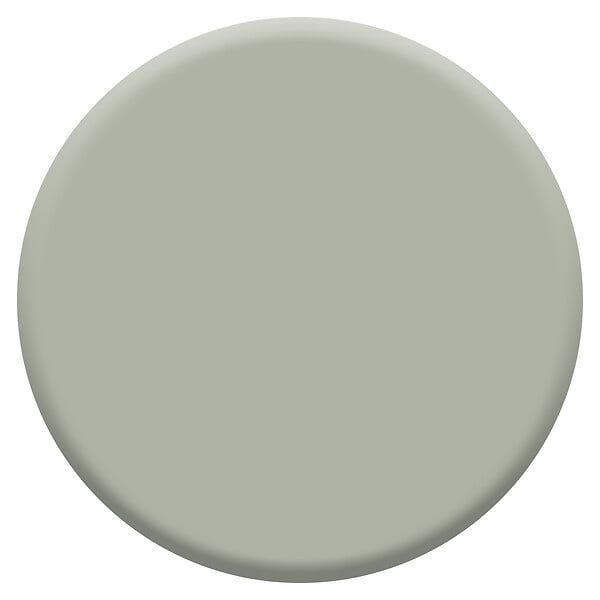 DULUX VALENTINE - Peinture intérieure biosourcée - Testeur Saule - 30ml - large