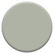 DULUX VALENTINE - Peinture intérieure biosourcée - Testeur Saule - 30ml - vignette