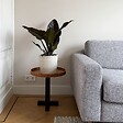 PLANT IN A BOX - Plante verte - Philodendron 'Imperial Red' - Hauteur 50cm - ⌀19cm - vignette