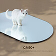 EMKE - EMKE Miroir mural 40 × 70 cm Miroir ovale sans Cadre, Miroir non lumineux salle de Bain, Chambre, Entrée, Salon - vignette