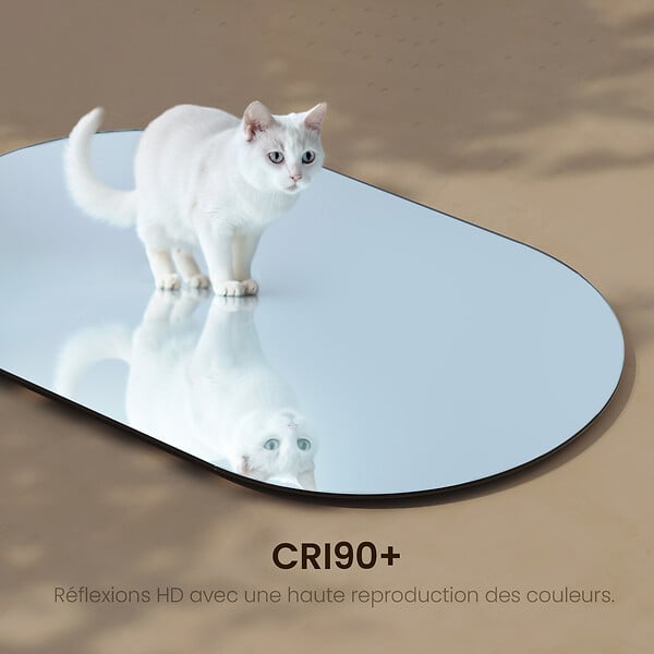 EMKE - EMKE Miroir mural 60 × 100 cm Miroir ovale sans Cadre, Miroir non lumineux salle de Bain, Chambre, Entrée, Salon - large