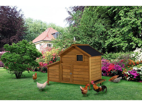 HABITAT ET JARDIN - Poulailler avec pondoir en bois "Cocotte" - Marron - large