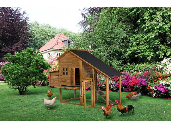 HABITAT ET JARDIN - Poulailler "Princesse" avec pondoir en bois - 4 poules - Marron - large