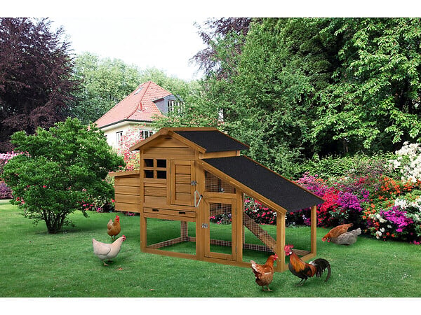 HABITAT ET JARDIN - Poulailler avec pondoir en bois "Clochette" - Marron - large