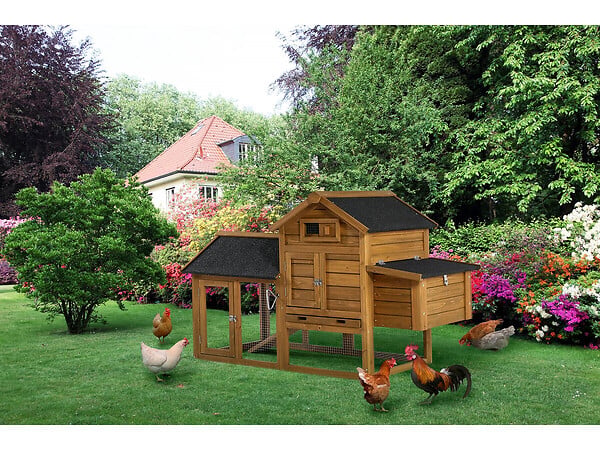 HABITAT ET JARDIN - Poulailler "Poulette" avec pondoir en bois - Marron - large