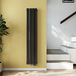 EMKE - EMKE Radiateur Chauffage Central 160 x 30 cm 966W Double Panneau – Radiateur Eau Chaude Vertical Étroit en Acier Noir - vignette