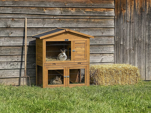 HABITAT ET JARDIN - Clapier poulailler en bois "Noisette" - 102 x 55 x 100 cm - Marron - large