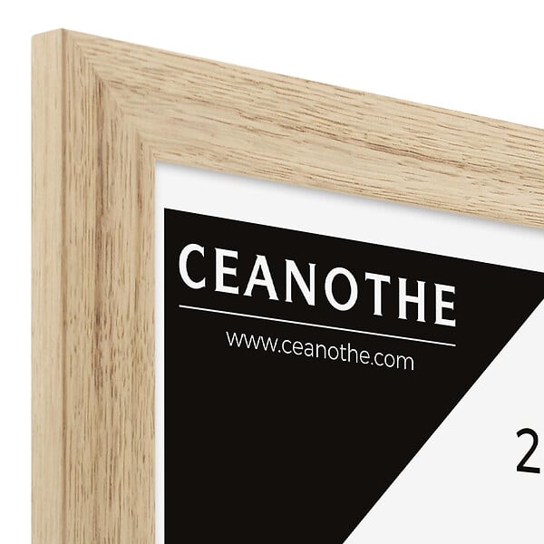 CEANOTHE - Cadre Tara 20x30 cm - large