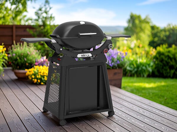 WEBER - Barbecue à gaz Q 2800N + Chariot noir - Weber - large