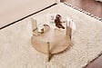 HABITAT ET JARDIN - Table basse en bois "Clara" - 75 x 75 x 40 cm - Chêne SaphirTransparent - vignette
