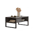 HABITAT ET JARDIN - Table basse en bois "ML34" - 100 x 59 x 44 cm - Argent - vignette