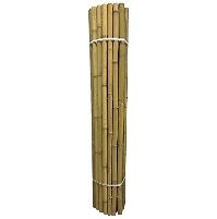 NATURE - Canisse bambou premium 1x2m - large