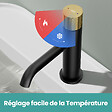 EMKE - EMKE Mitigeur de lavabo noir avec levier doré, robinet salle de bain monocommande en laiton, cartouche céramique, 181 × 166 × 50 mm - vignette