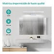 EMKE - EMKE Lampe murale LED pour salle de bain blanc, éclairage miroir 40 × 20 cm, lumière froide 6500 - vignette